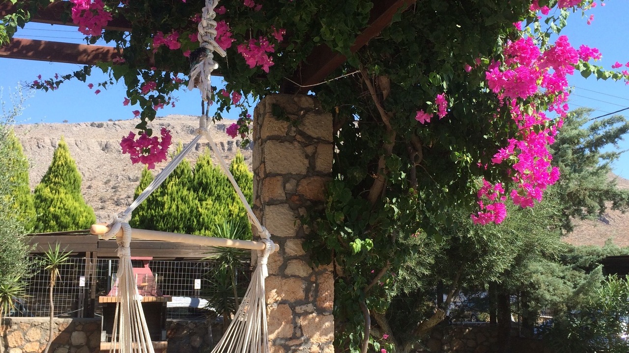 Photo of Others in Pefkos
