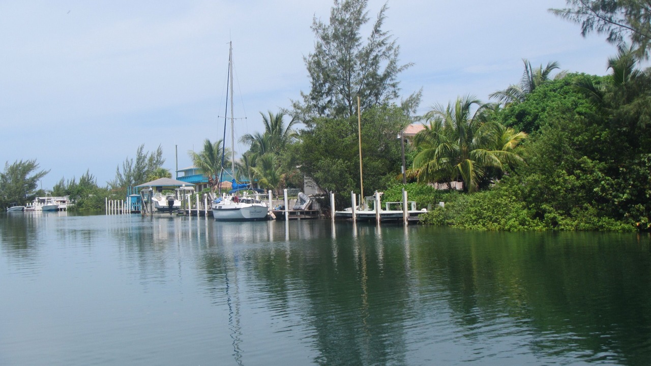 Photo of Others in Port Royal