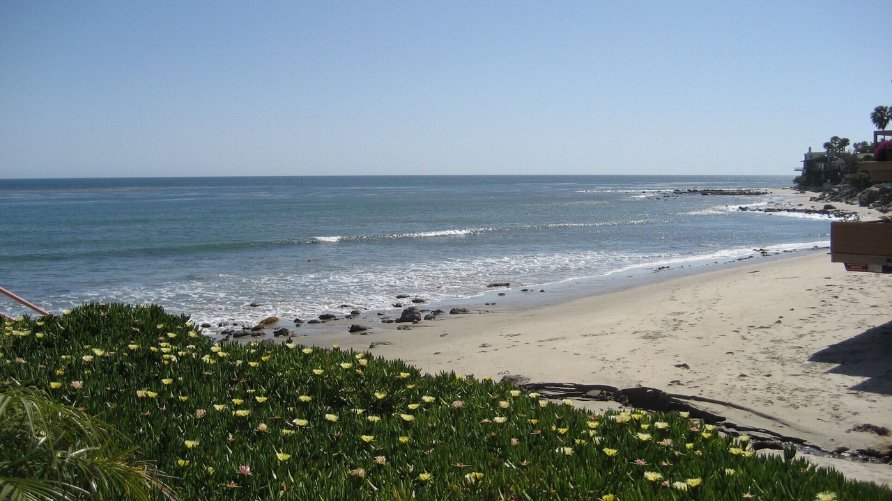 Photo of Others in Central Malibu