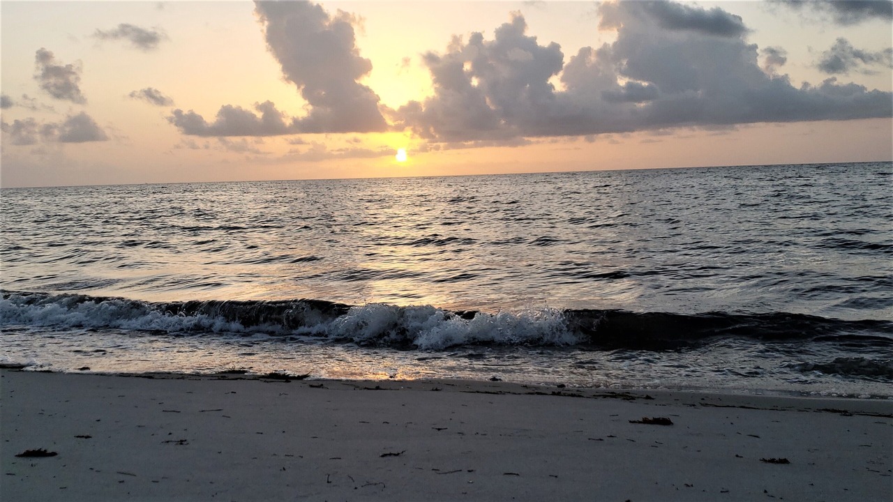 Photo of Others in Key Biscayne