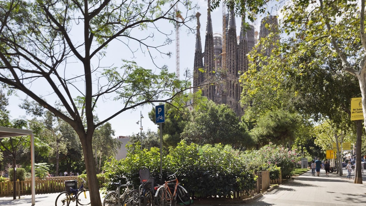 Photo of Others in La Sagrada Familia