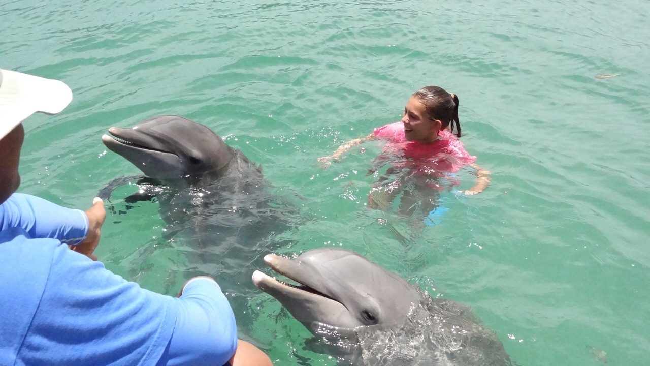 Photo of Others in Bahamia West