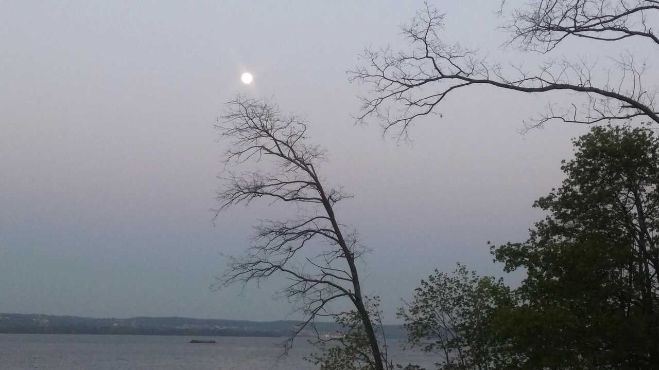Photo of Others in Haverstraw