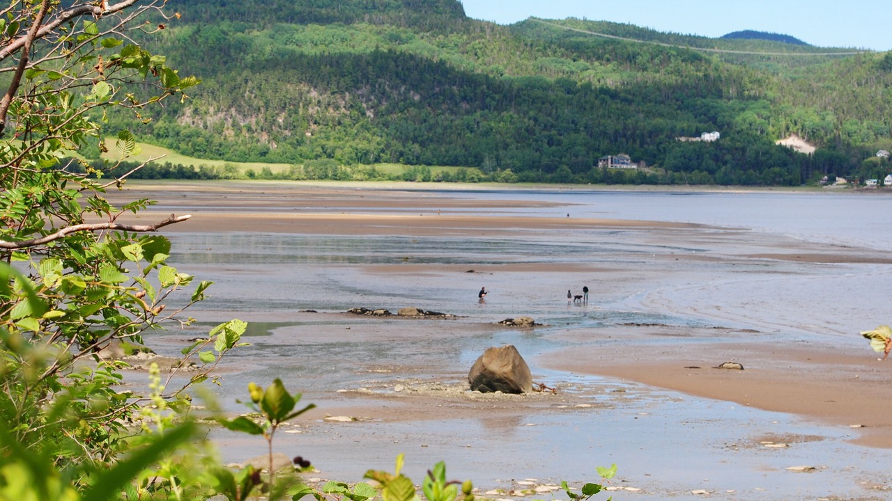 Photo of Others in L'Anse-Saint-Jean