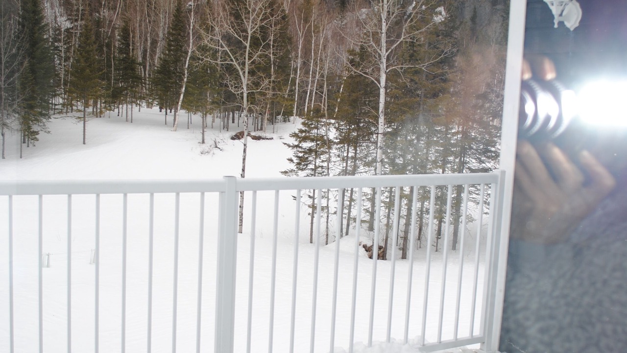 Photo of Outdoor in L'Anse-Saint-Jean