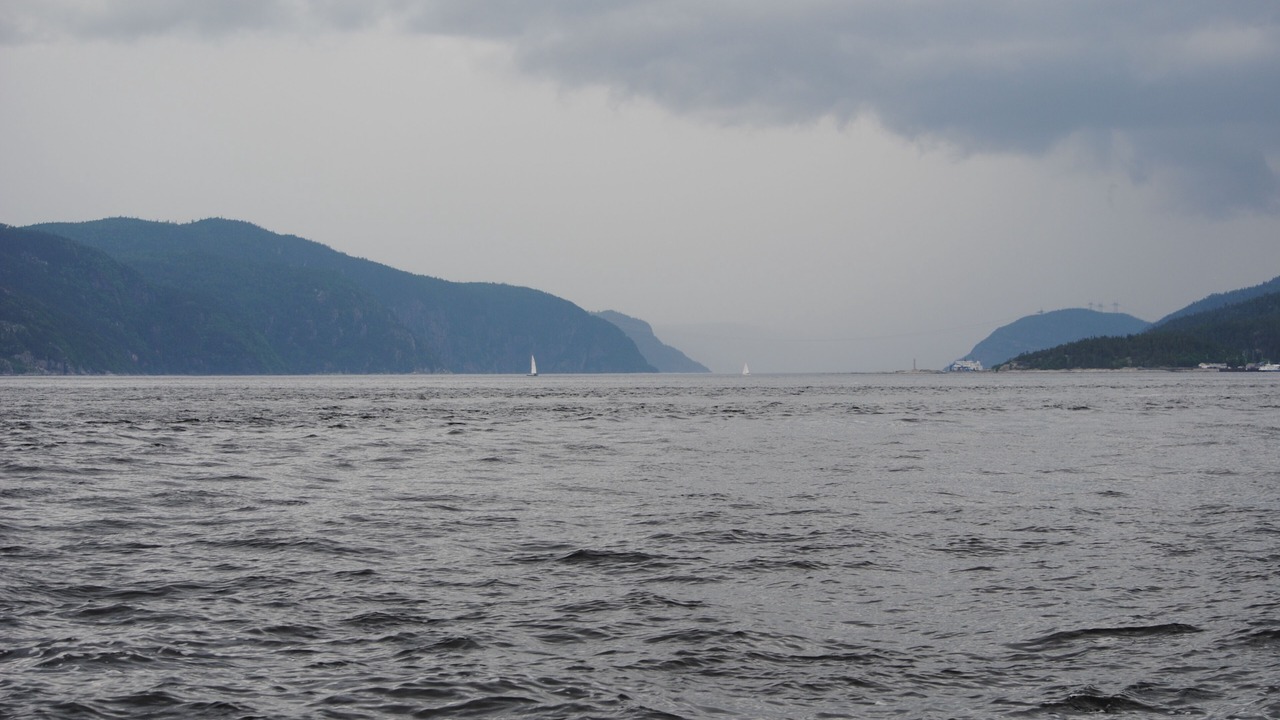 Photo of Others in L'Anse-Saint-Jean