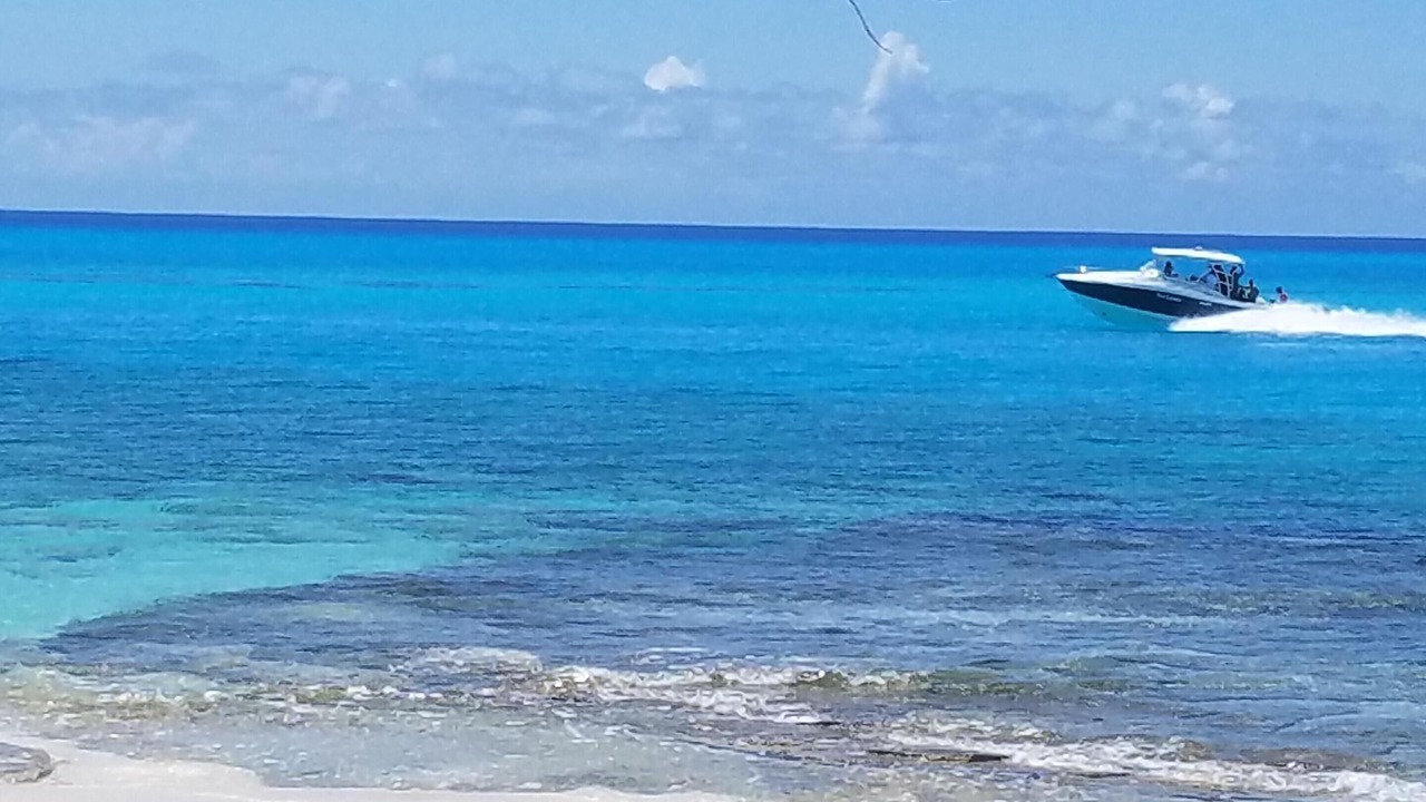 Photo of Others in Port Royal