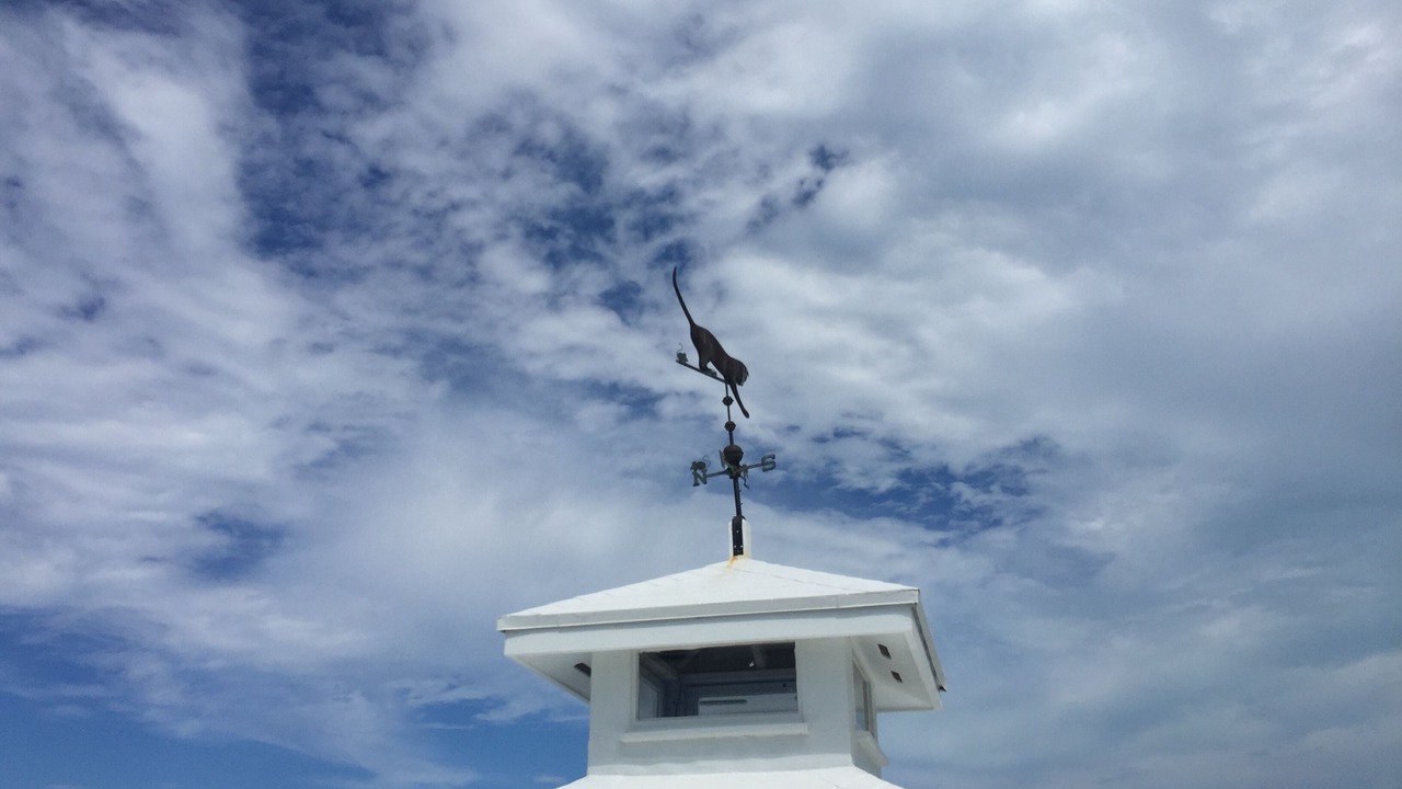 Photo of Outdoor in Hartswell
