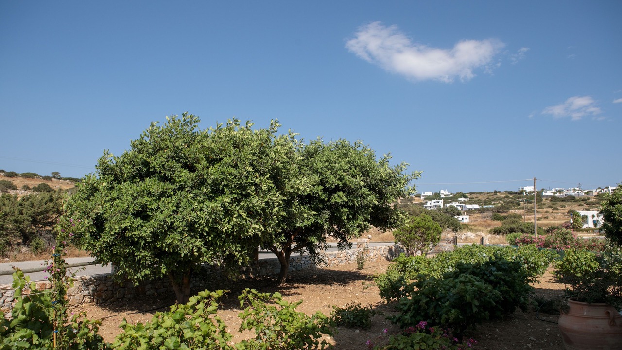 Photo of Outdoor in Naxos
