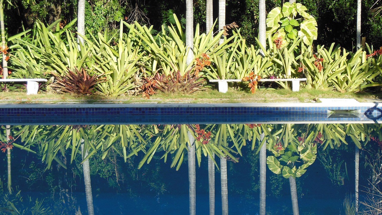 Photo of Outdoor in Nassau