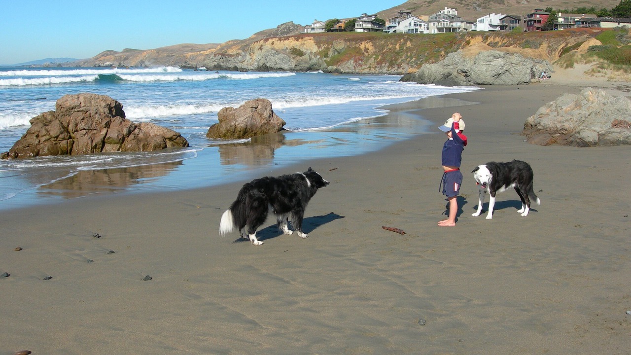 Photo of Others in Dillon Beach