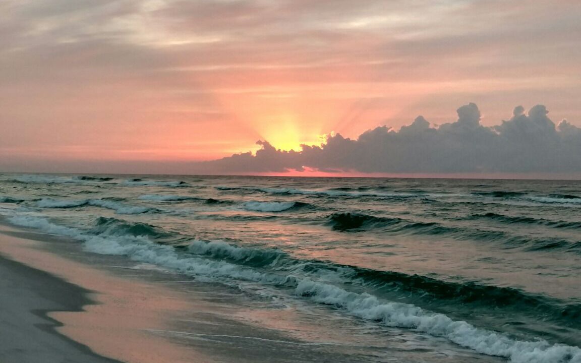 Photo of Others in South Pensacola