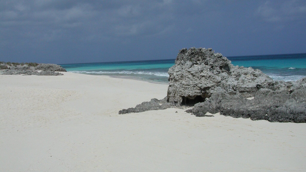 Photo of Others in Hartswell