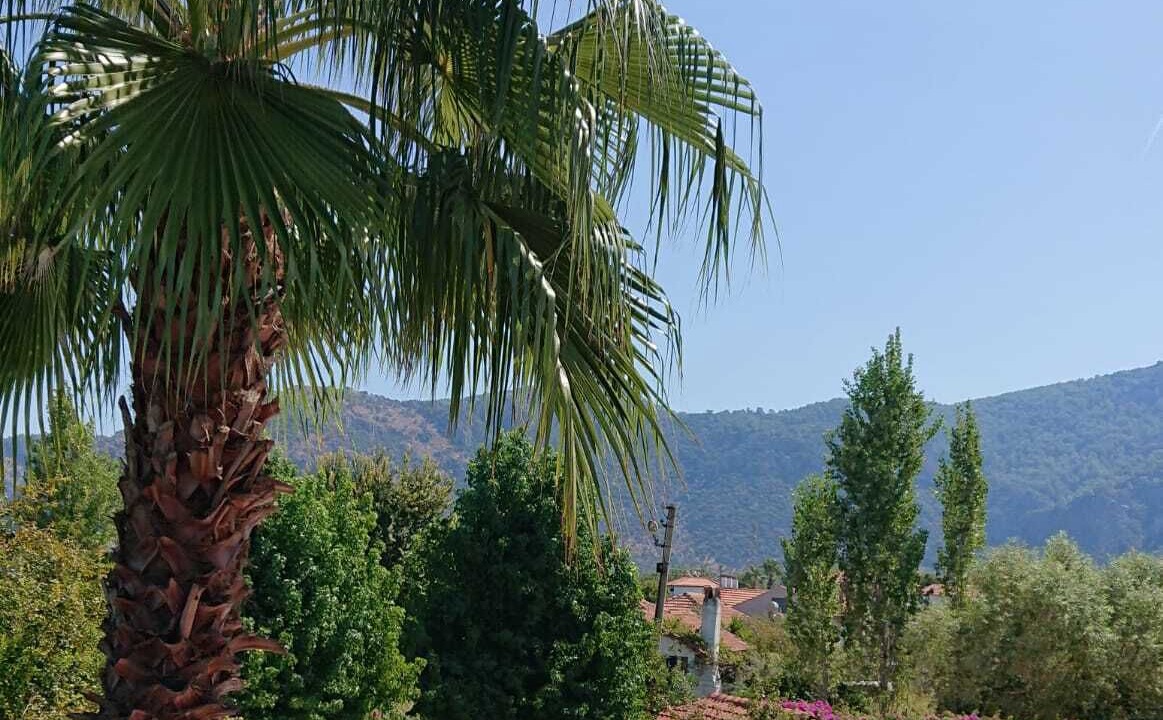 Photo of Patio Balcony in Dalyan City Center