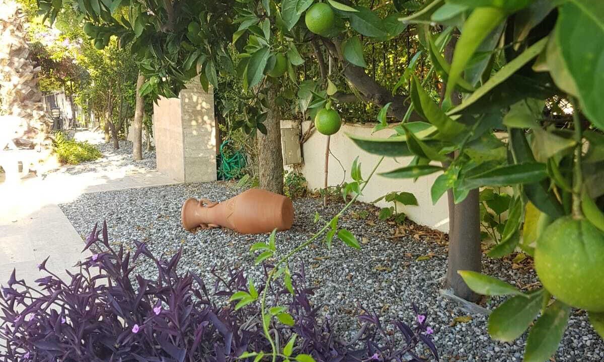 Photo of Outdoor in Dalyan City Center