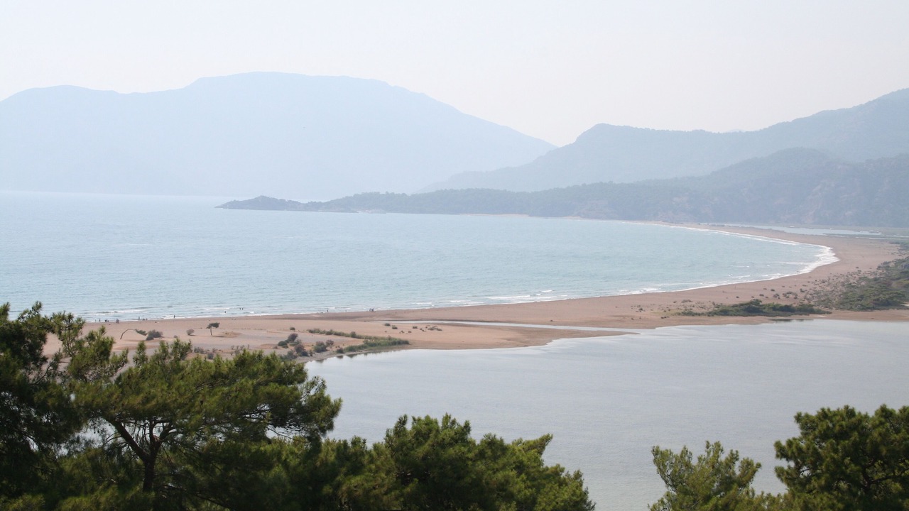 Photo of Others in Dalyan City Center