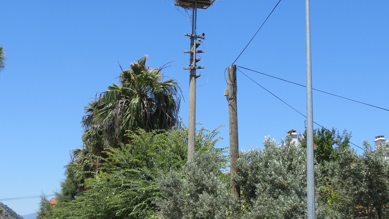 Photo of Others in Dalyan City Center