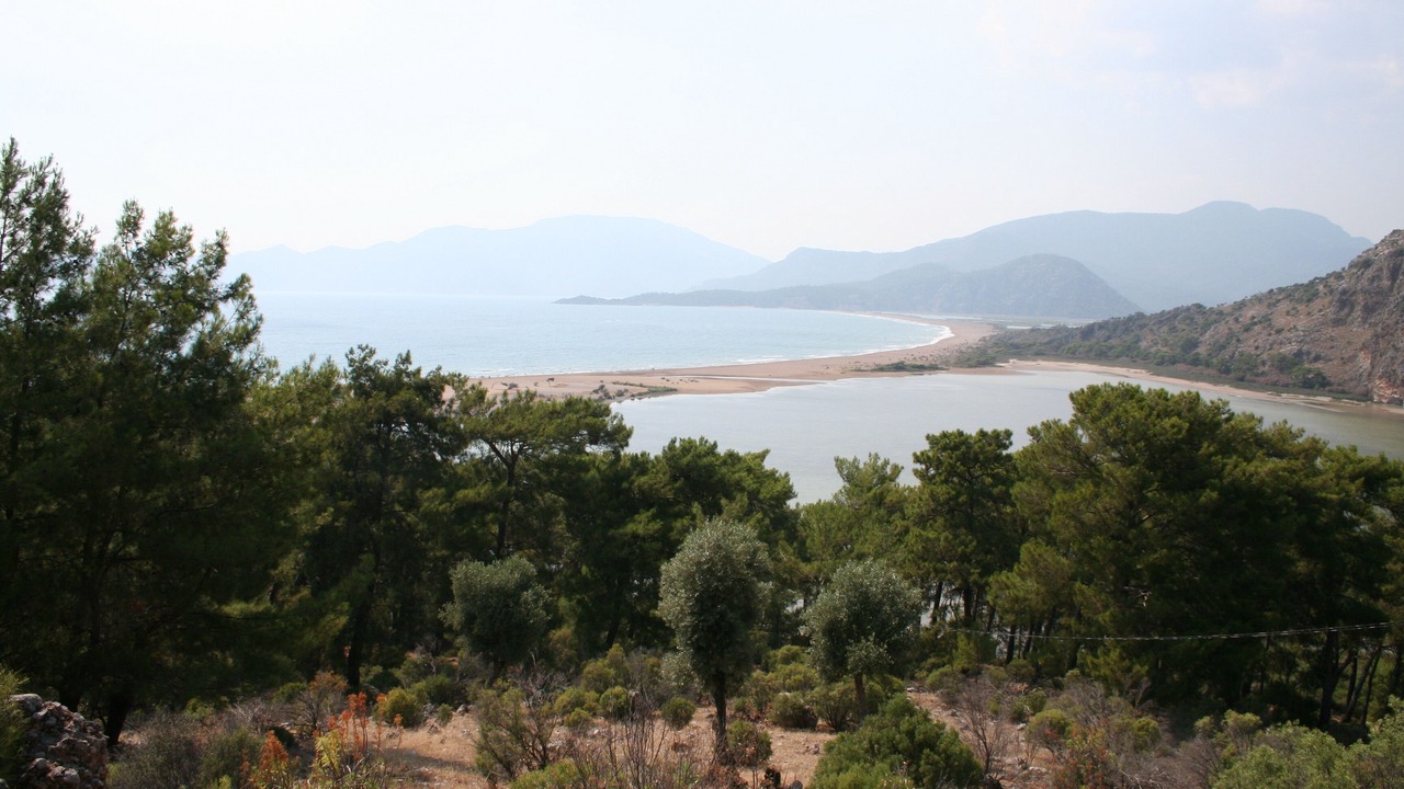 Photo of Others in Dalyan City Center