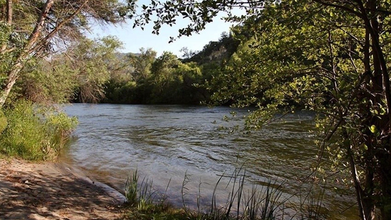 Photo of Others in Three Rivers