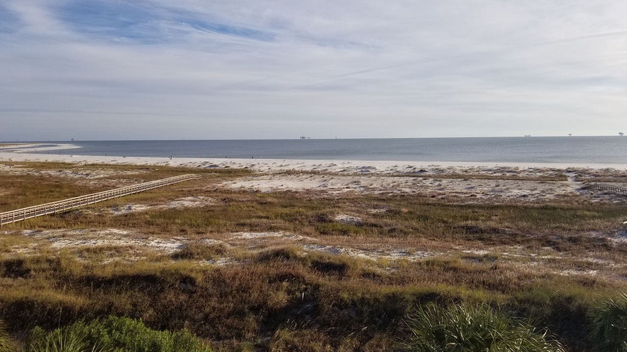 Photo of Others in Dauphin Island