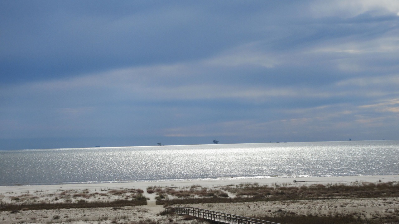 Photo of Others in Dauphin Island