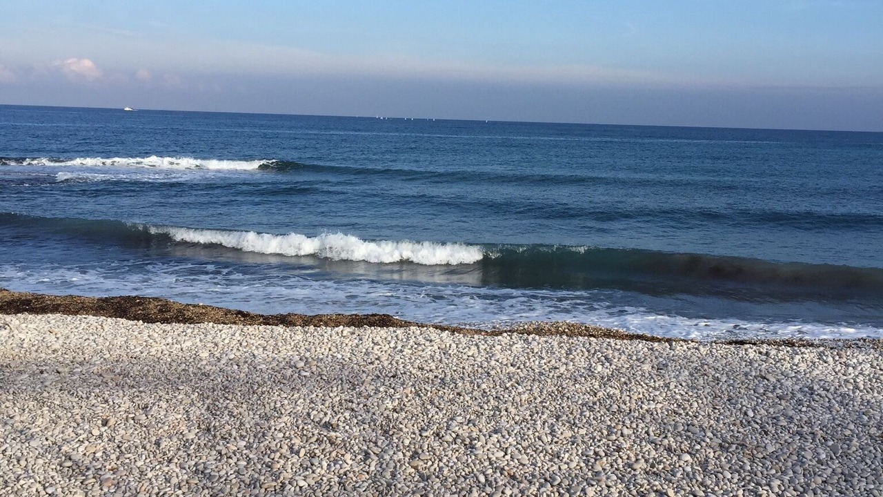 Photo of Others in Platja de l'Arenal