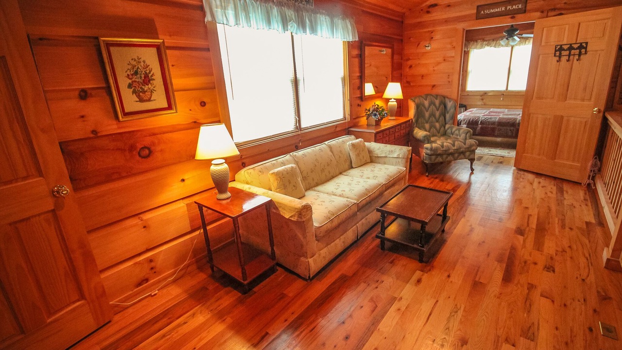 Photo of Livingroom in Buck Mountain