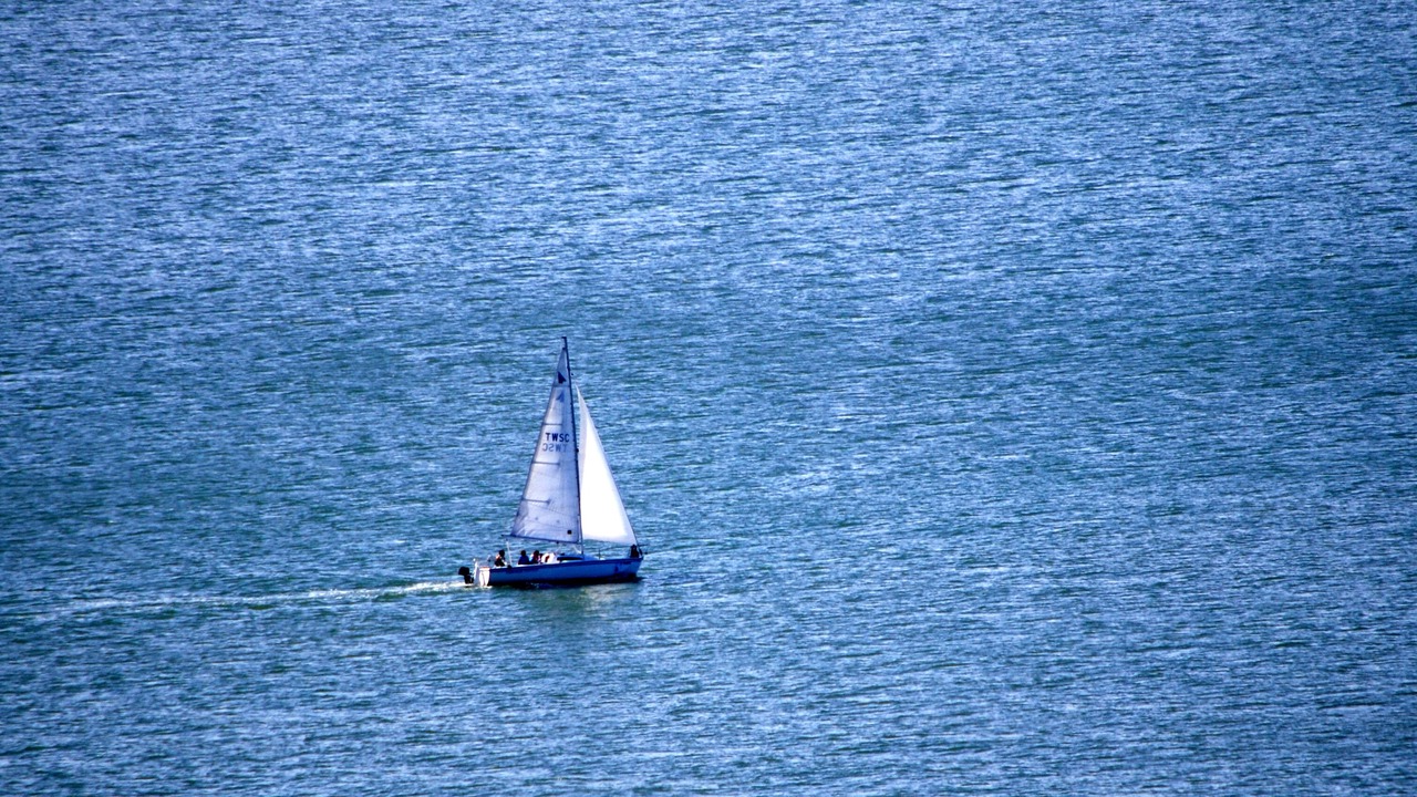 Photo of Others in Point Richmond