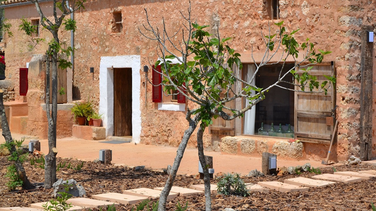 Photo of Outdoor in Inca