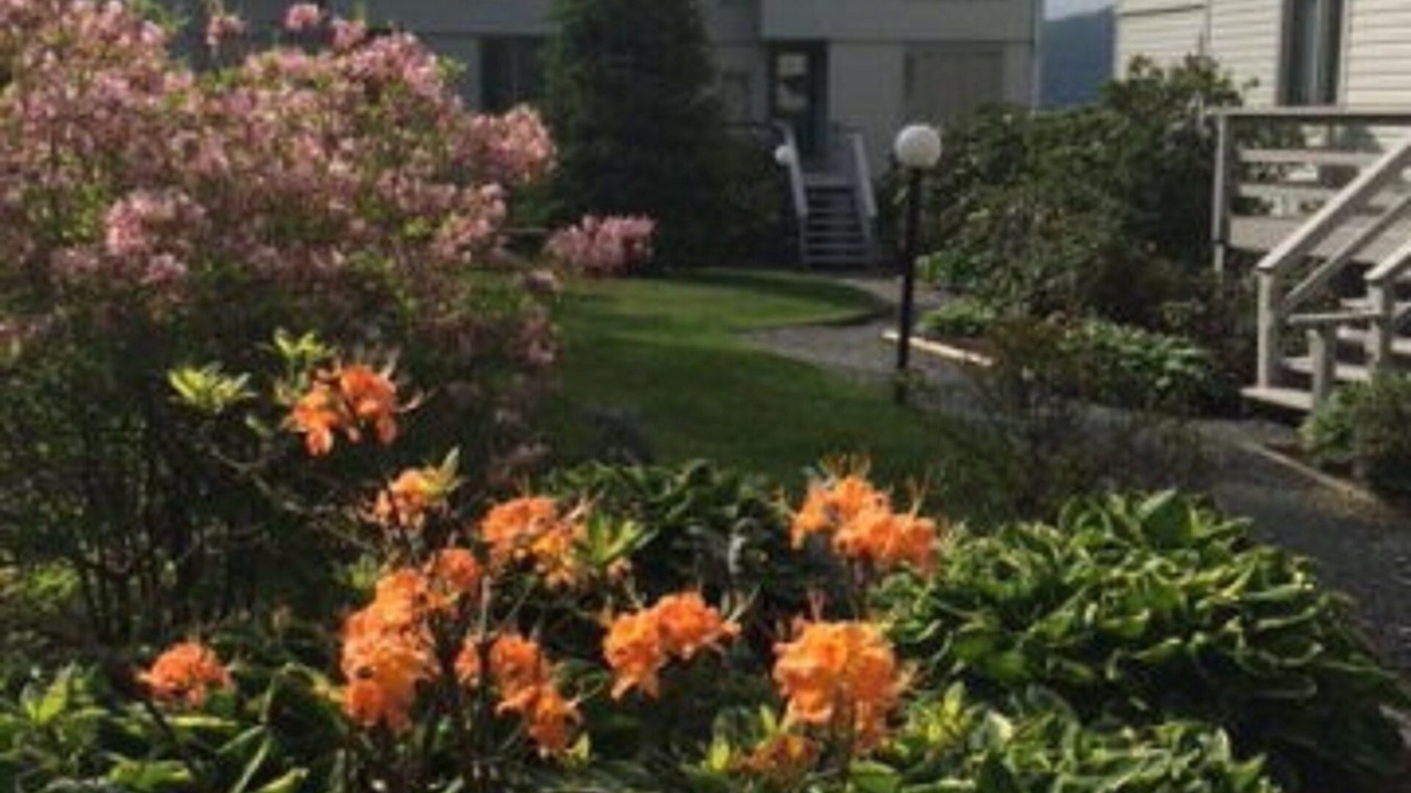 Photo of Outdoor in Seven Devils