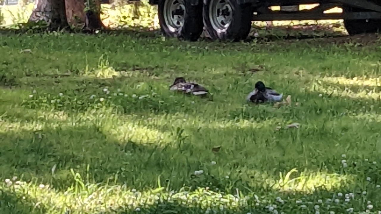 Photo of Outdoor in Southmont