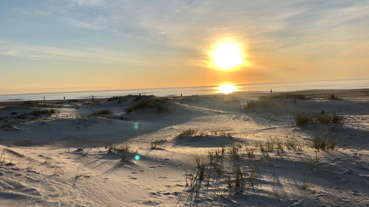 Photo of Others in St. Augustine Beach