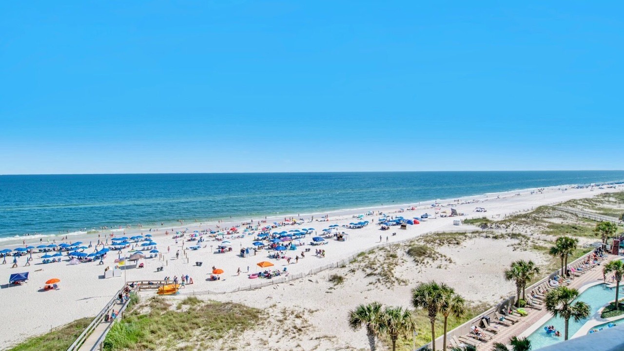 Photo of Others in Orange Beach