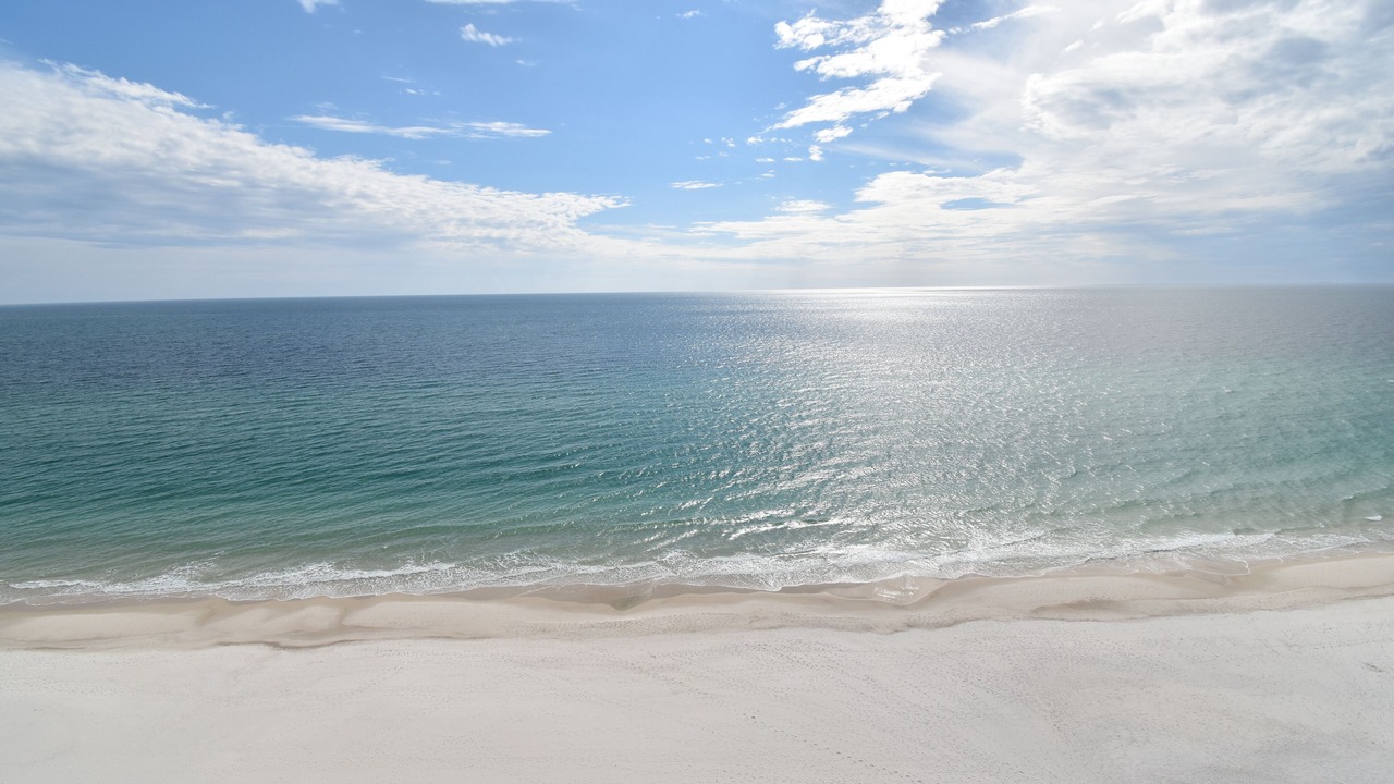 Photo of Others in Gulf Shores
