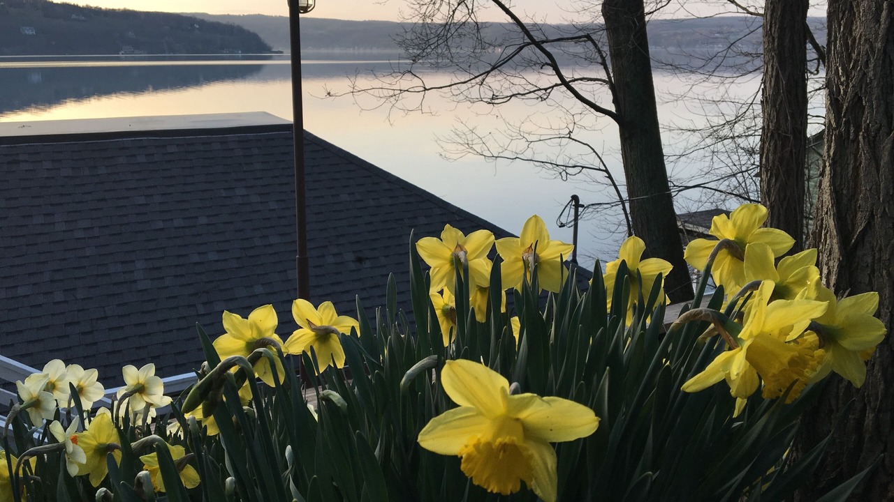 Photo of Outdoor in Hammondsport