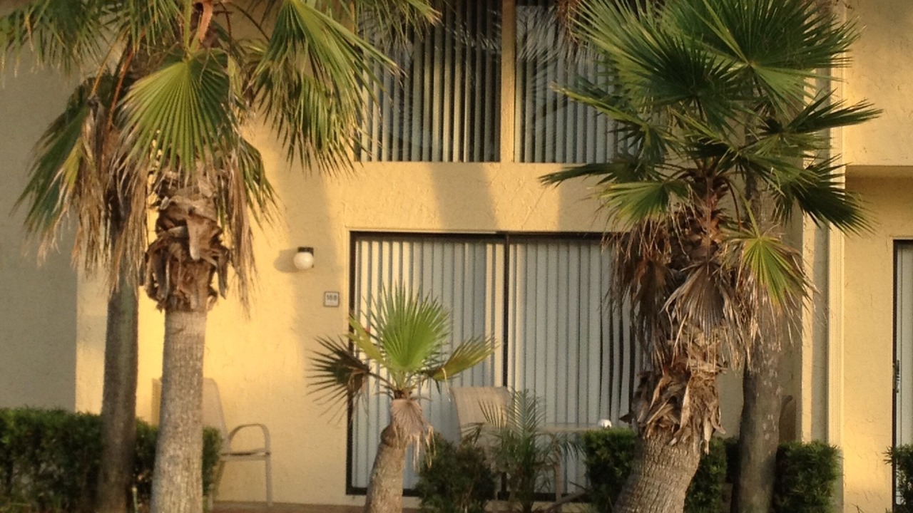 Photo of Outdoor in Florida Central Atlantic Coast