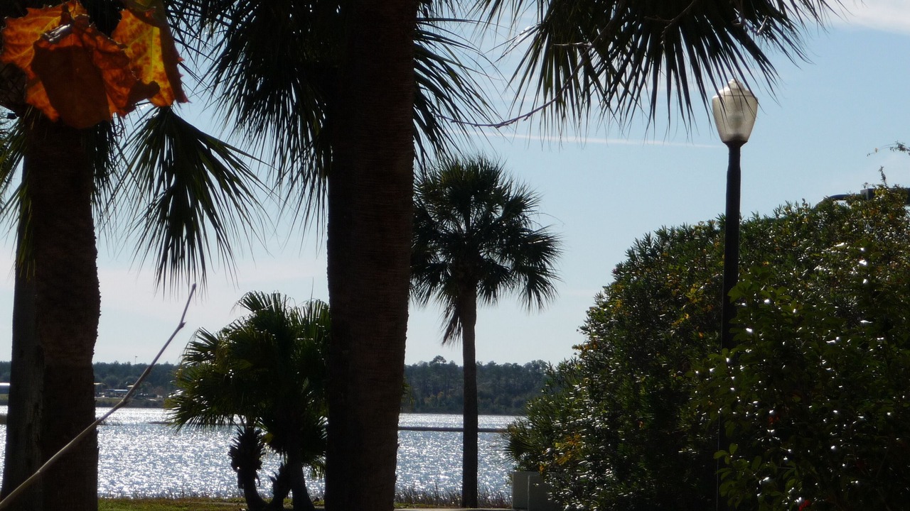 Photo of Outdoor in Florida Central Atlantic Coast