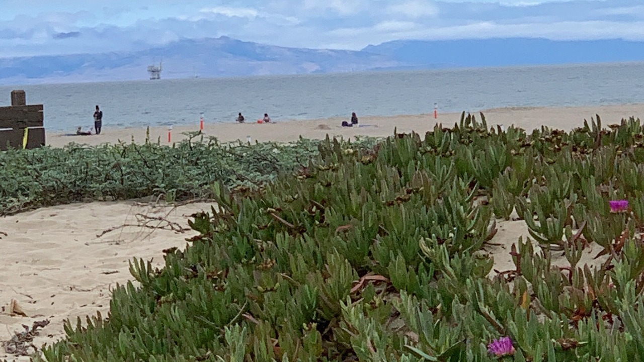 Photo of Others in Port Hueneme