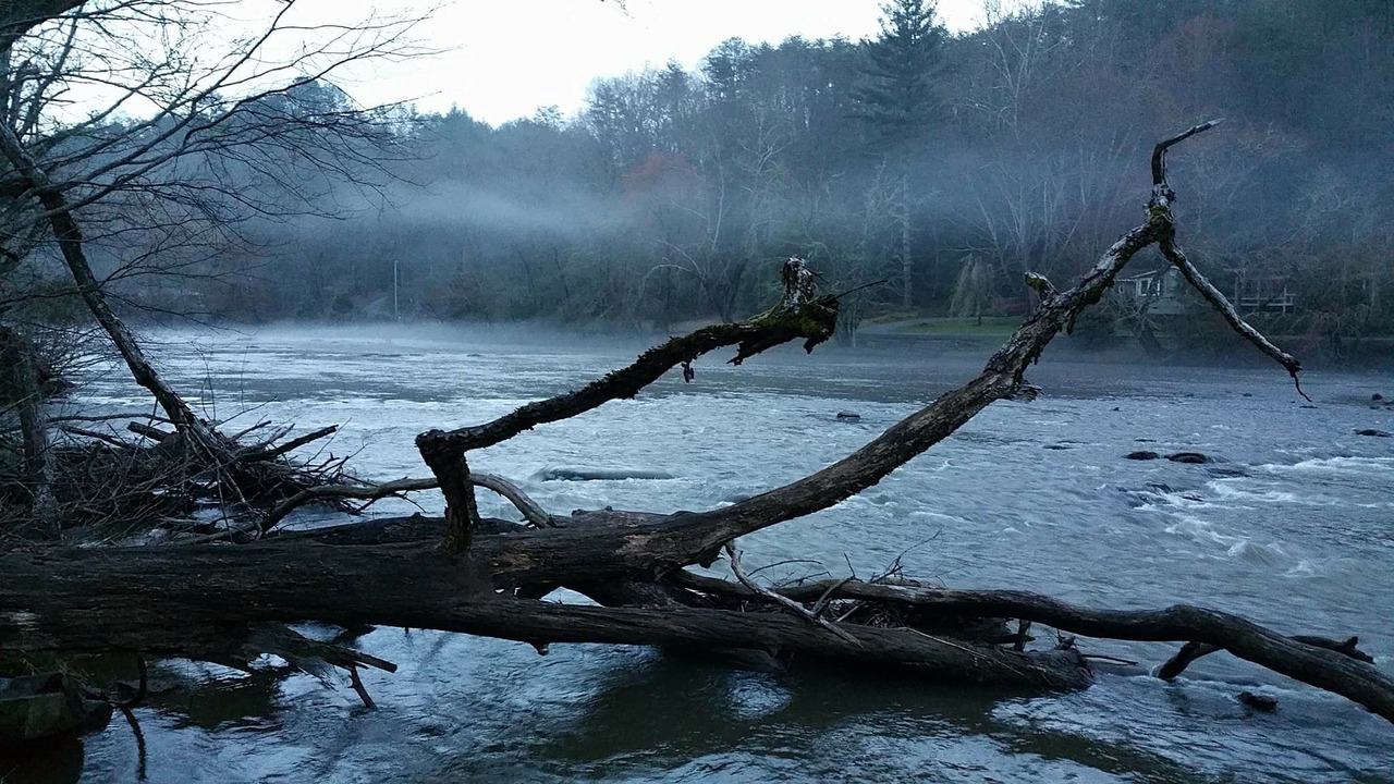Photo of Others in Sylva