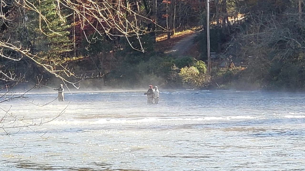 Photo of Others in Sylva