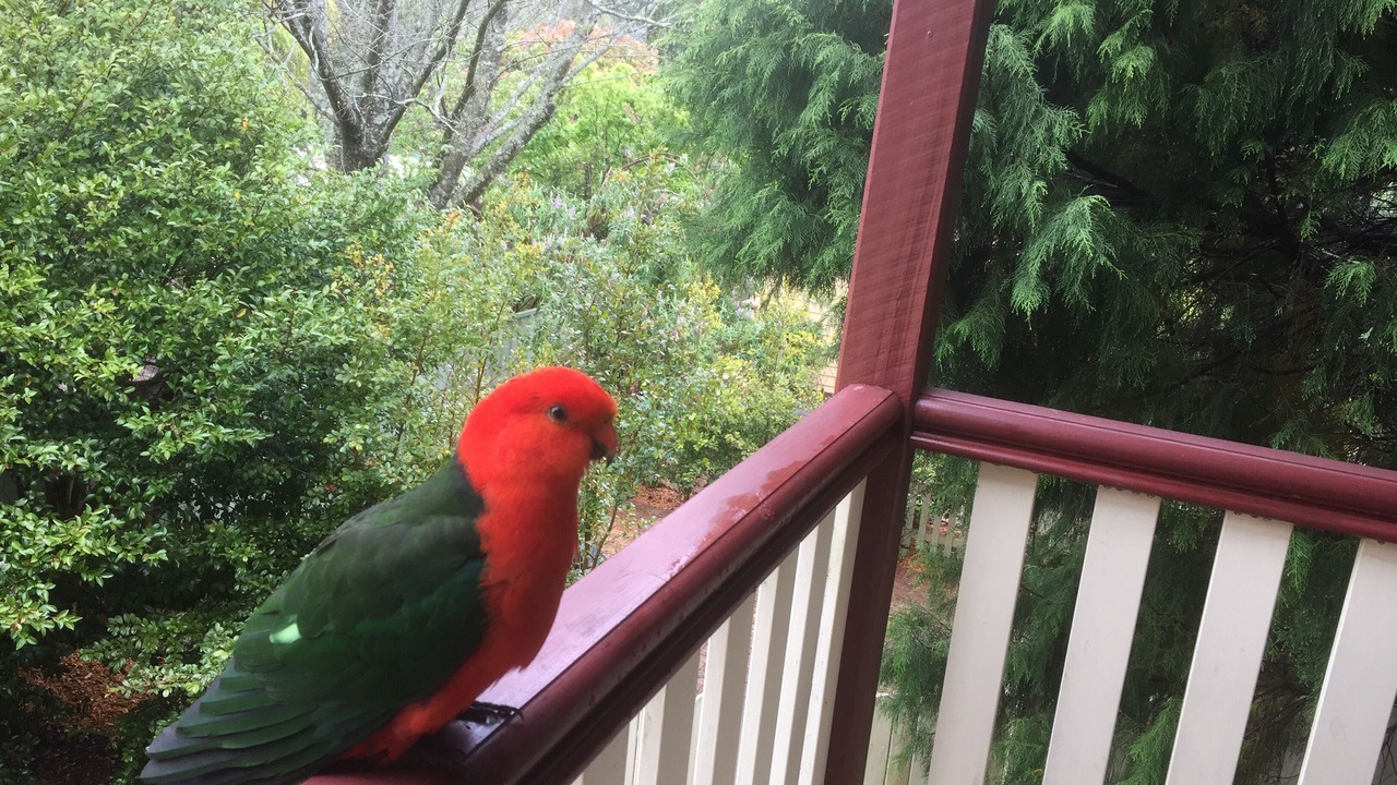 Photo of Others in Leura