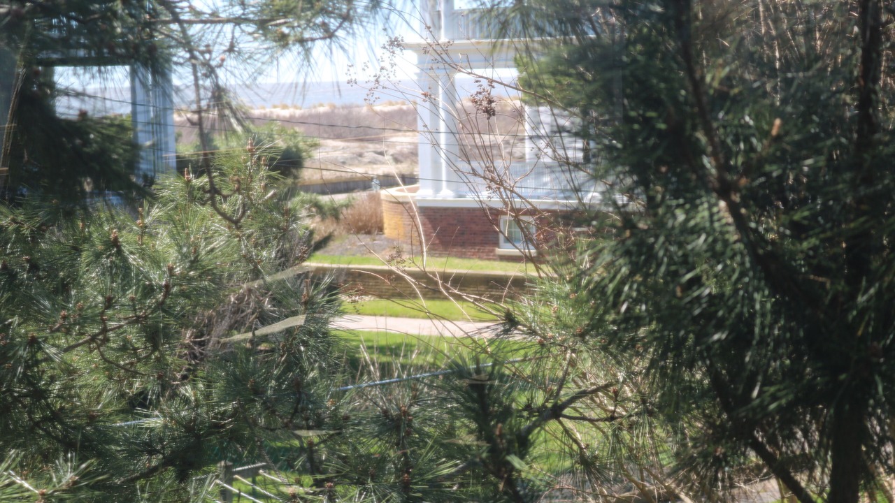 Photo of Outdoor in Admiral Estates