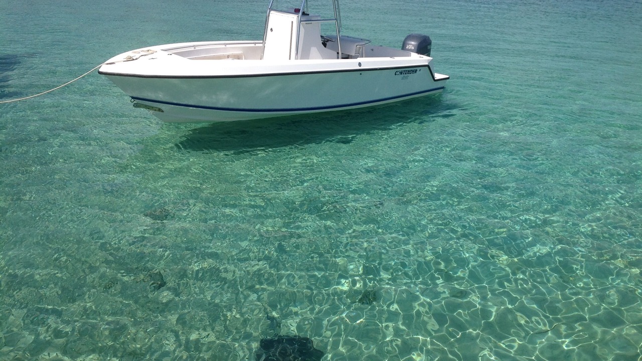 Photo of Others in Black Point
