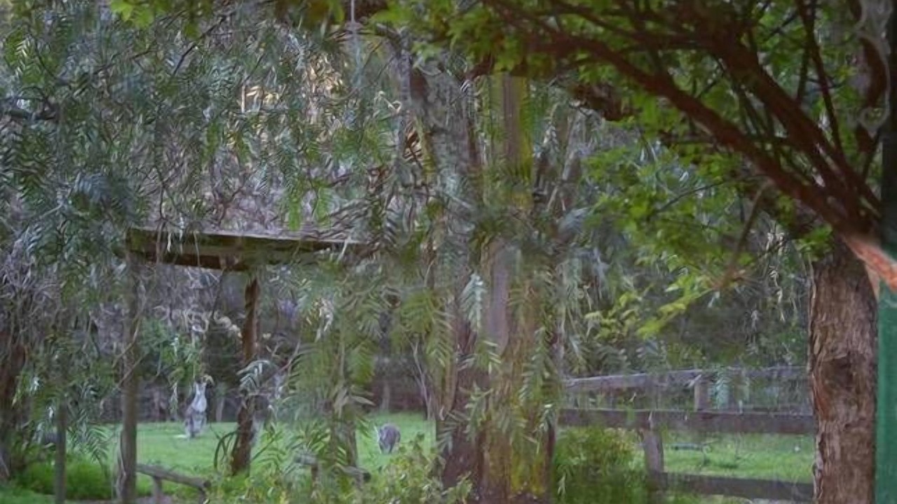 Photo of Outdoor in Kangaroo Valley