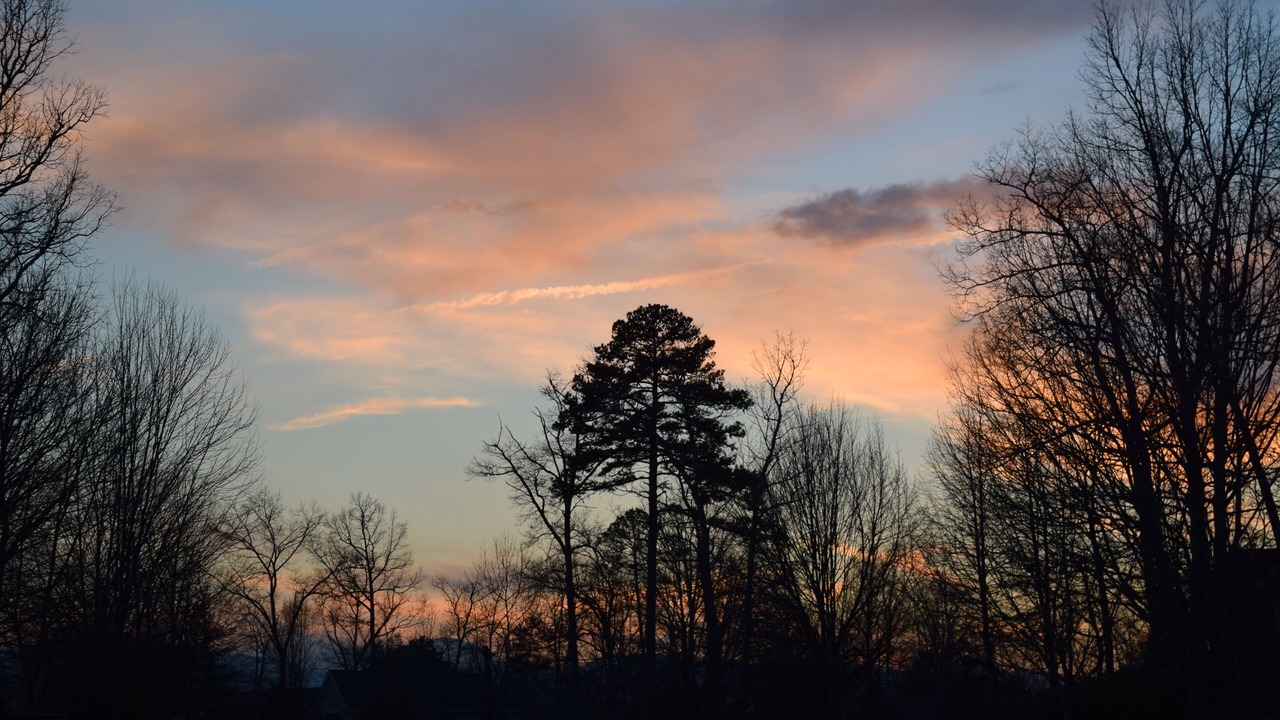 Photo of Outdoor in Weaverville