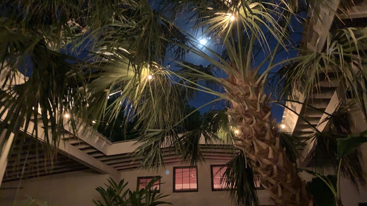 Photo of Outdoor in Old Town