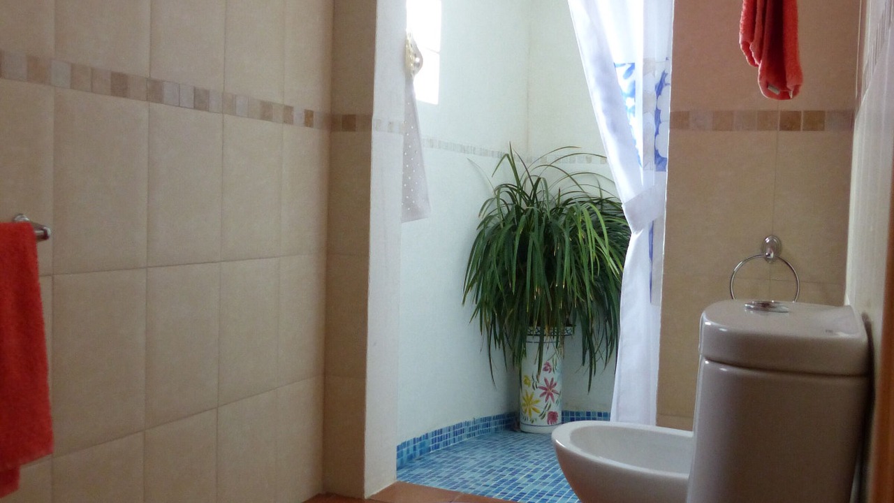 Photo of Bathroom in El Perello