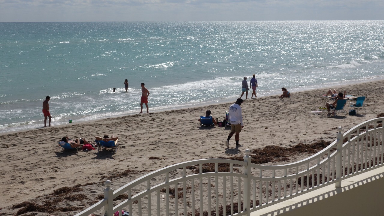 Photo of Others in Hollywood South Central Beach
