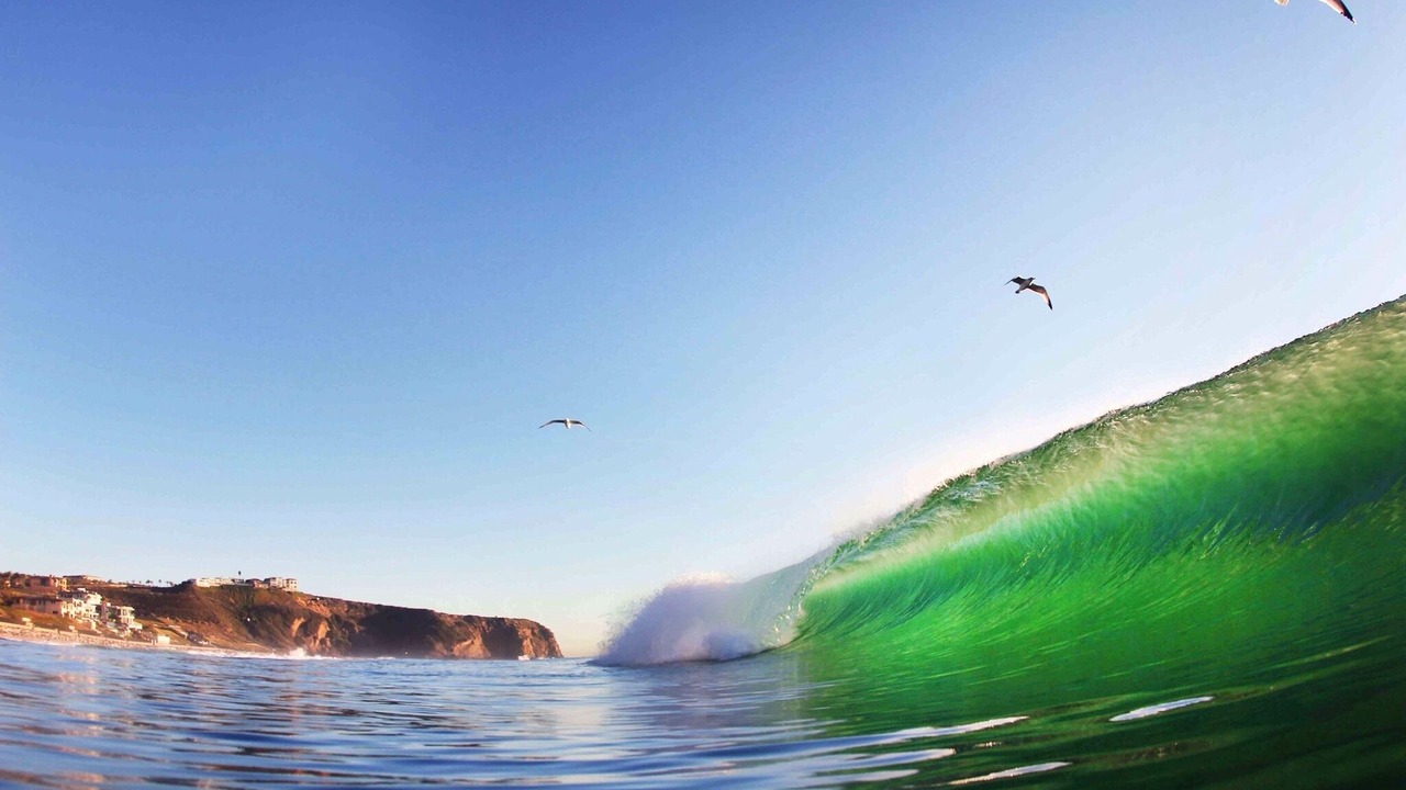 Photo of Others in Dana Point