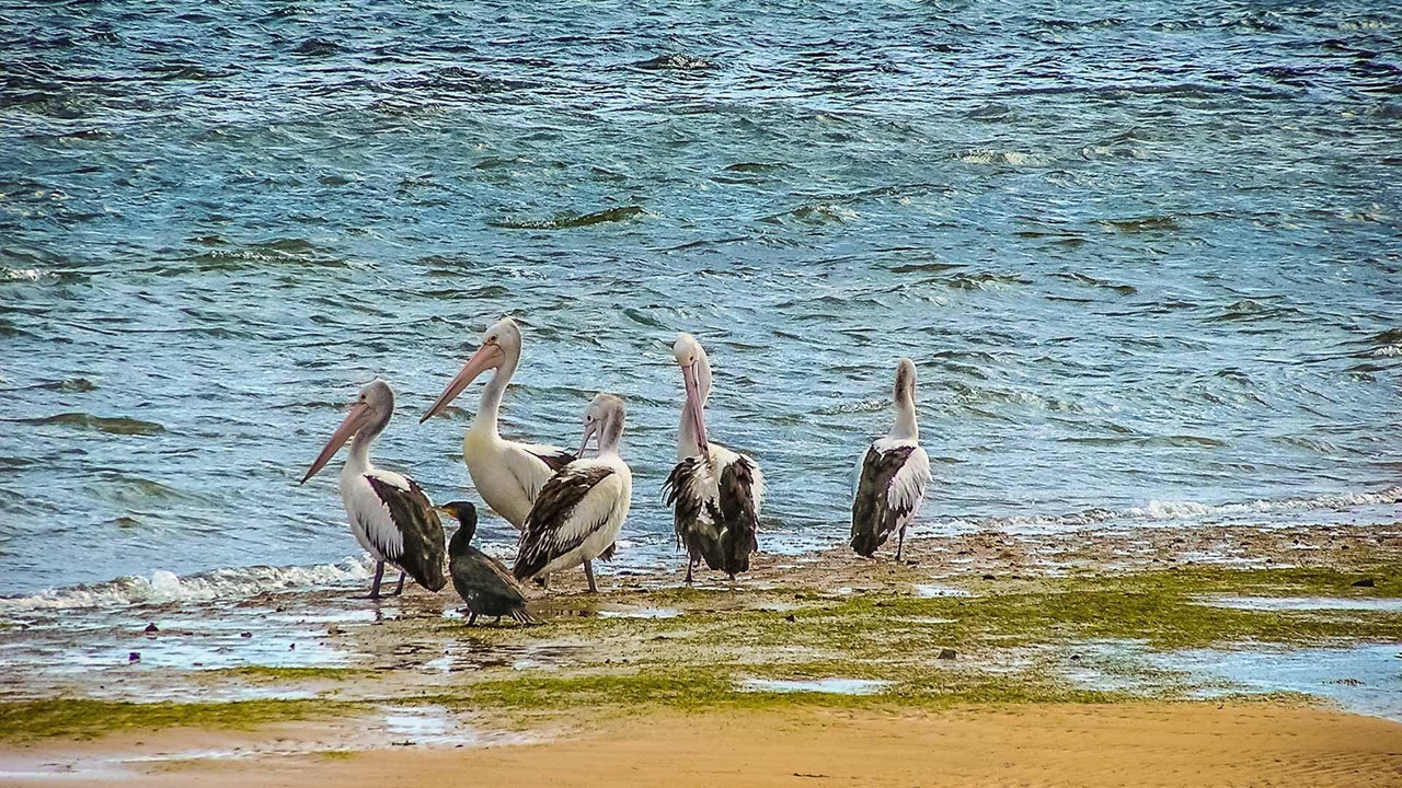 Photo of Others in San Remo